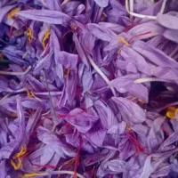 بهترین زعفران مشهد با عیار بالا|خدمات پذیرایی، مراسم|میان ولایت, |دیوار