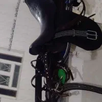 درود زین با عرق گیر با دهنه نریون ۱۵ ماه پر خون|اسب و تجهیزات اسب‌سواری|جنت, |دیوار