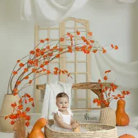 آتلیه کودک نوزاد بارداری پناه کریسمس یلدا پاییزی