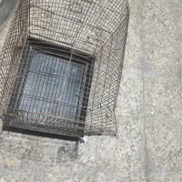 قفس پرنده