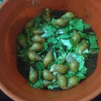 حلزون برای درمان