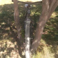 دوچرخه دنده ای ویوا|دوچرخه، اسکیت، اسکوتر|بجنورد, |دیوار