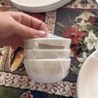 سرویس ارکوپال۲۴نفره|ظروف سرو و پذیرایی|شهرکرد, |دیوار