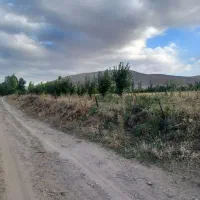 زمین کشاورزی کلوانس|فروش زمین و ملک کلنگی|صفائیه, |دیوار