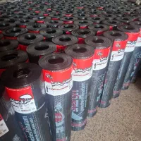 ایزوگام شرق|خدمات پیشه و مهارت|زاهدان, |دیوار