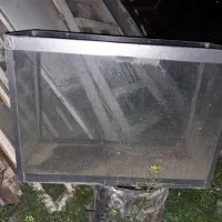 اکوارویوم