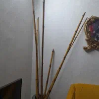 چوب بانبو