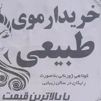 مو برمیدارم