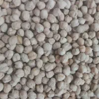 فروش 1500کیلو نخود بوجاری شد