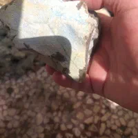 فروش سنگ آکواریوم