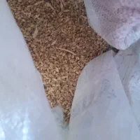 جو دامی فروشی