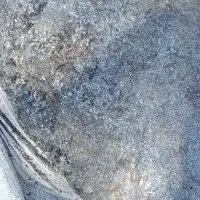 باسلام فروش براده آهن ۲مدل هست درختمت دوستان هستم|عمده‌فروشی|قم, نیروگاه|دیوار