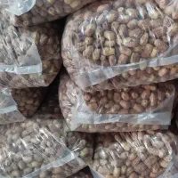 خرمای زاهدی به قیمت عمده|عمدهفروشی|هامون, |دیوار