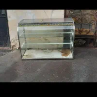 ویترین جیگرکی