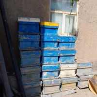 کندو زنبور خالی