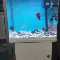 آکواریوم شیشه‌خم‌سوبو مدلT630F