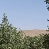 باغ-شهری