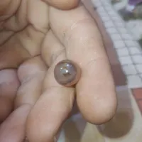 مهره با چند  طرح متفاوت ک توشه