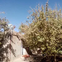 خانه ویلای مسکونی کلاکوب شاهنامه جاده کلات|فروش خانه و ویلا|مشهد, کلاکوب|دیوار