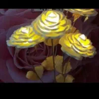 یک کیسه گلبرگ کریستالی مناسب