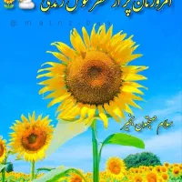 پرستار خانم برای سالمند آقا