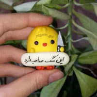 اکسسوری و اویز ماشین