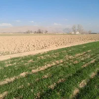 فروش ۴۰۰۰ متری در فیروزی