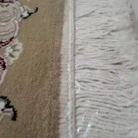 فرش شش ۶ متری نگین مشهد (جفت)|فرش|لاهیجان, آهندان|دیوار