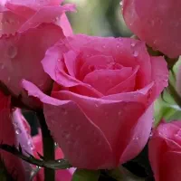 سلام آقا هستم قصد ازدواج دارم