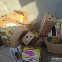 کارتن موز