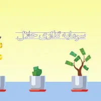 جذب سرمایه حلال