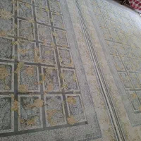 فرش 9متری|فرش|گلستان (تهران), |دیوار