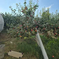 ویلا باغ دارای آب برق گاز در اهر 4200متر|فروش خانه و ویلا|تبریز, |دیوار