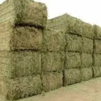 پرس یونجه