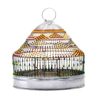 جوجه خاکی لار