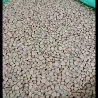 خشکبار عدس