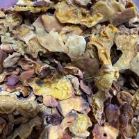 قیسی و آلو|خوردنی و آشامیدنی|شیراز, قدوسی شرقی|دیوار