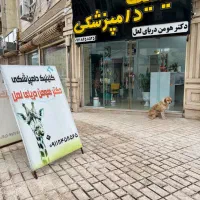 کلینیک دامپزشکی‌ دکتر دریای لعل