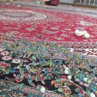 تعداد تیله تیله میفروشیم با مرغ تخم گذار|اسباببازی|ایوان, |دیوار