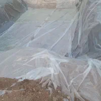 اجاره یک هکتار زمین کشاورزی ابتدای شفق|اجارهٔ دفتر صنعتی، کشاورزی، تجاری|خمینی‌شهر, |دیوار