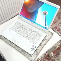 دوعدد لب تاب بقیمت عمده