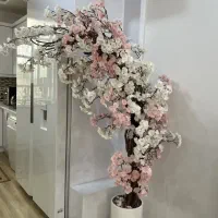 درختچه شکوفه خارجی بزرگ و زیبا