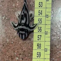 پلکو زبرا و تایگر و آنجل دودی