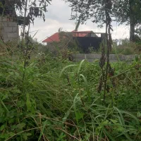 زمین ۲۵۰ متری باغی دور فنس|فروش زمین و ملک کلنگی|رشت, آب و برق|دیوار