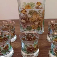 جام و پنج عدد شات