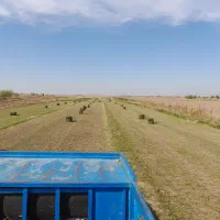 فروش یونجه جزئی و عمده|عمدهفروشی|دشتابی, |دیوار