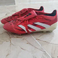 استوک پرداتور بلینگام