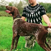 توله آلمانی اصیل ۴ماهه