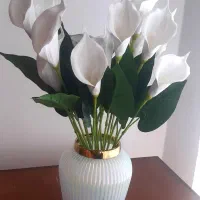 شیپوری بوته ای سفید