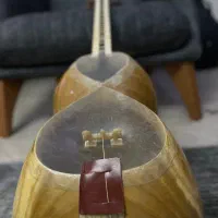 تار دو مهر عبدلی|سازهای سنتی|تهران, لویزان|دیوار